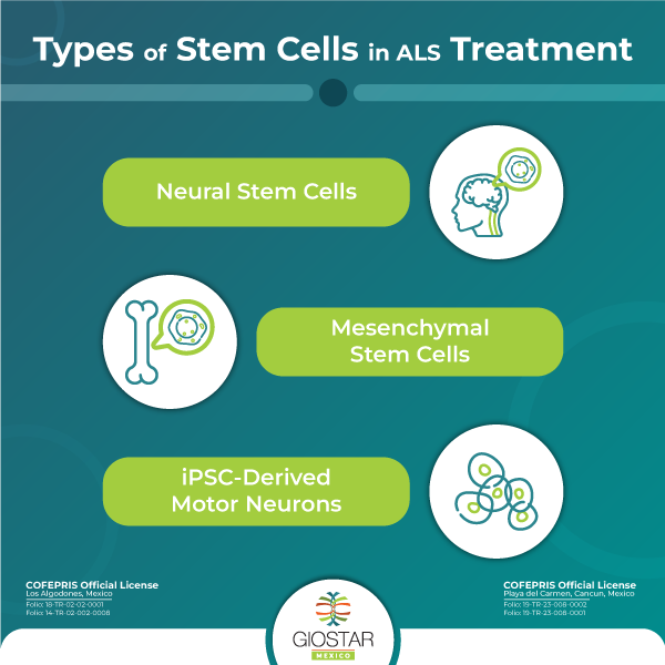 Image that describes the types of stem cells in als treatment
