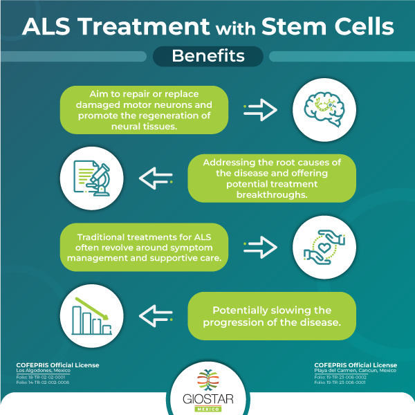Image that describes how stem cell works for ALS