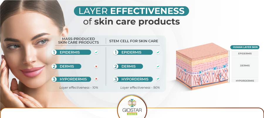 Skin layers and effectiveness of skin care products versus stem cells for facial application
