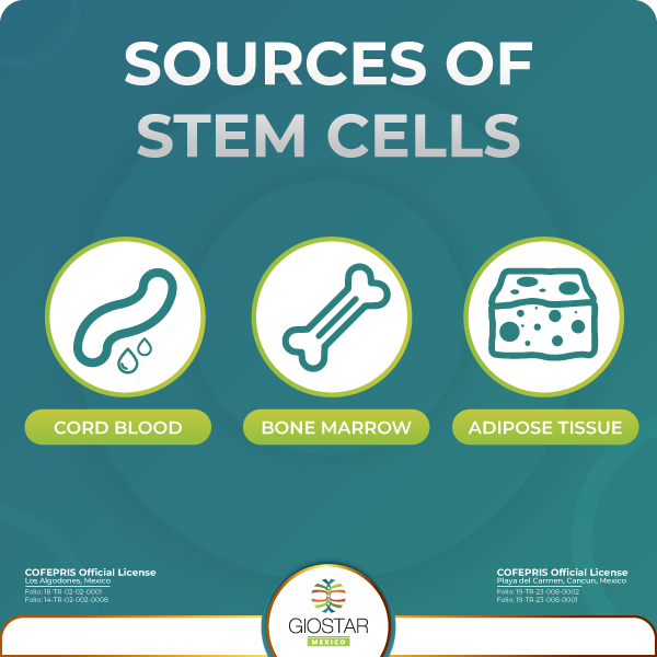 Icons that show the 3 main sources of stem cells