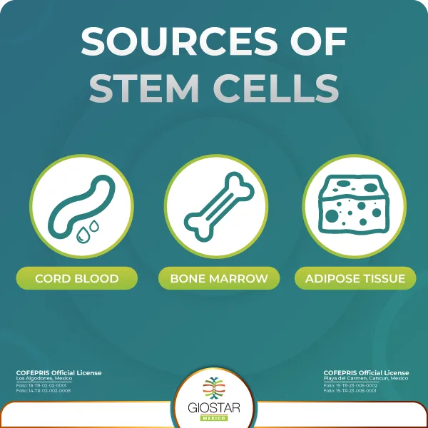Sources_of_Stem_Cells Icons that show the 3 main sources of stem cells