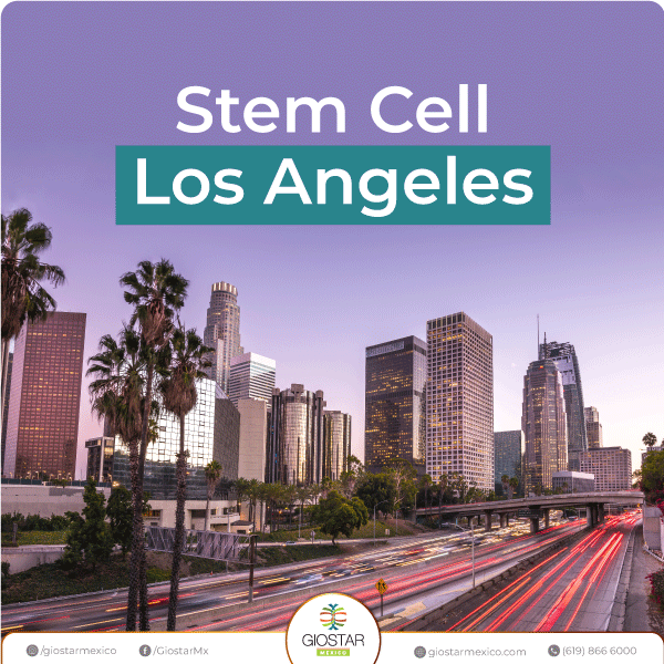 Stem_Cell_Los_Angeles Image of Los Angeles and text Stem Cell Los Angeles