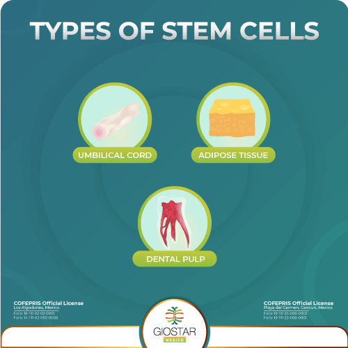 Mesenchymal_Stem_Cells_For_Knee_Pain Types of mesenchymal stem cells
