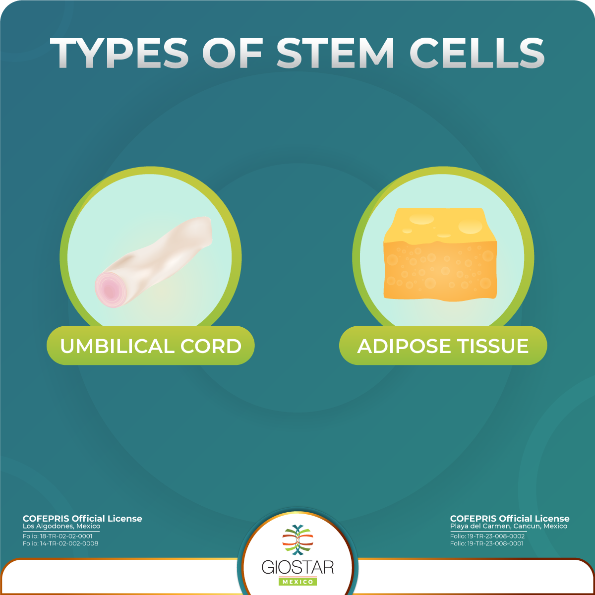 Types of Mesenchyaml stem cells used for stem cell therapy