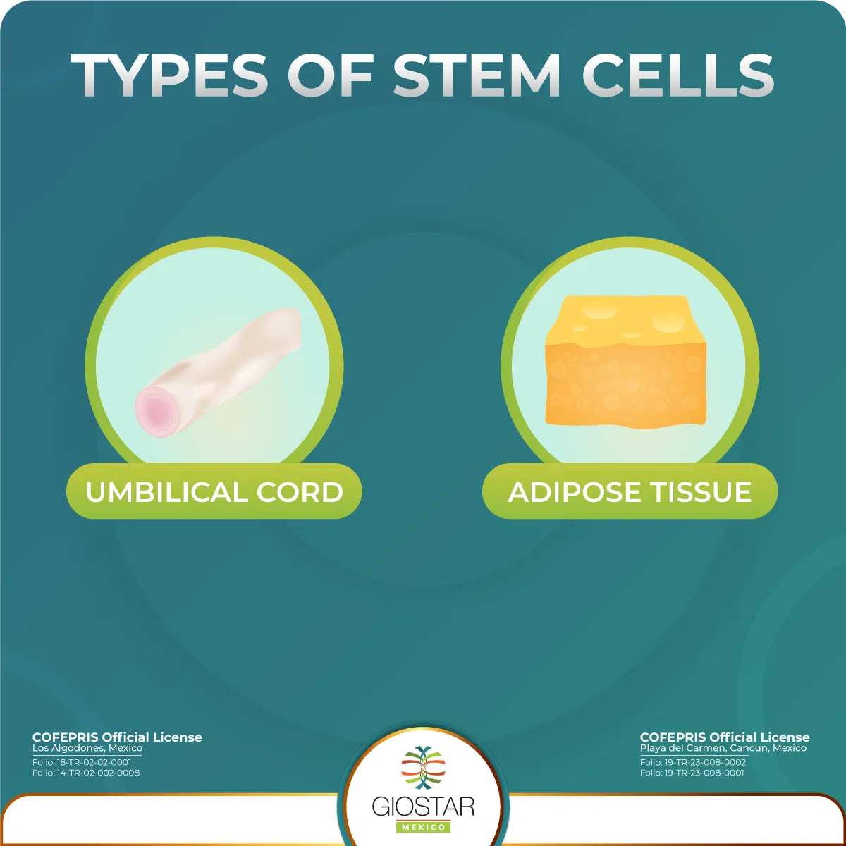 Types of Mesenchyaml stem cells used for stem cell therapy