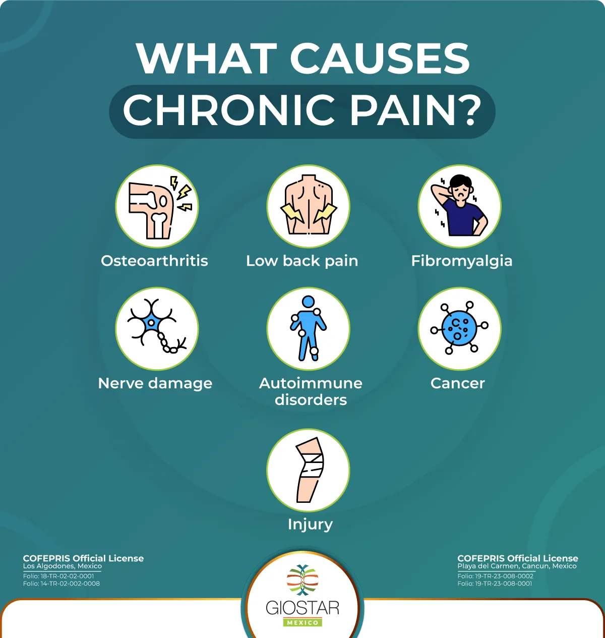 Icons depicting chronic pain causes and text indicating them