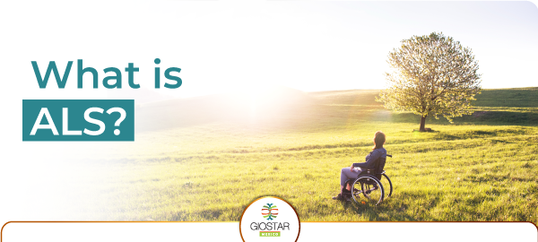 Person sitting in a wheelchair, in a field, watching sunset