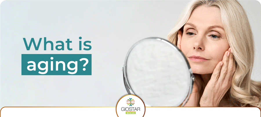 What is aging? Banner for aging