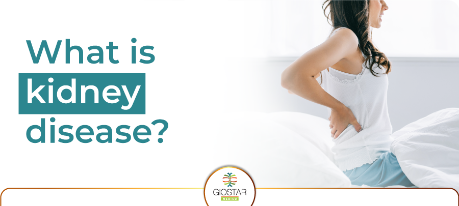 Kidney Disease Kidney Disease Banner