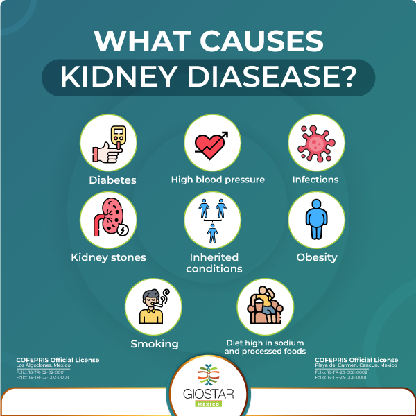 Causes for Kidney Disease Causes for kidney disease descriptive image