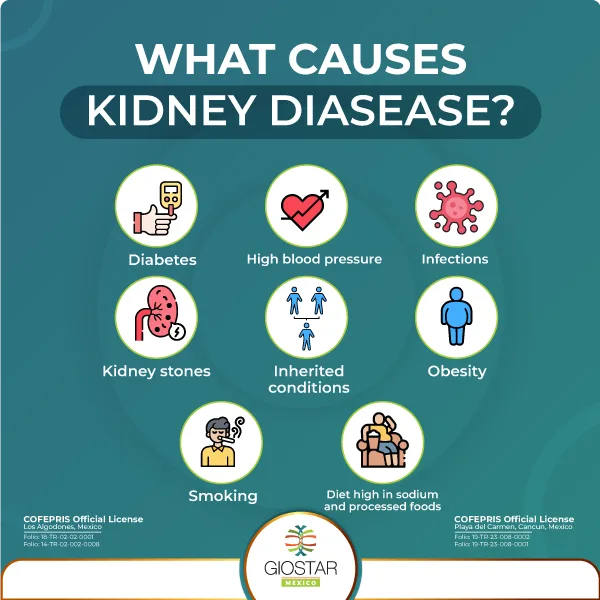 Causes for kidney disease descriptive image