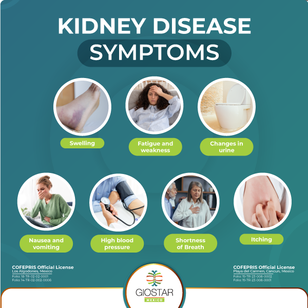 Kidney Disease symptoms Descriptive image for Symptoms for kidney disease