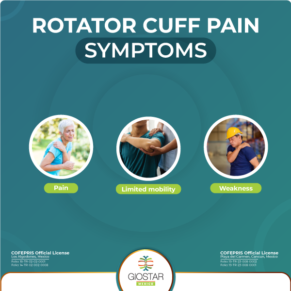 Rotator scuff symptoms Rotator scuff symptoms infographic image