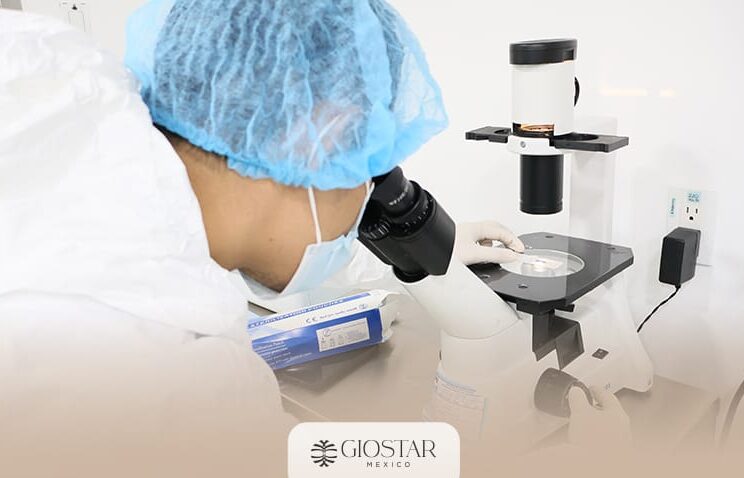stem-cell-laboratory-processing-tijuana-mexico