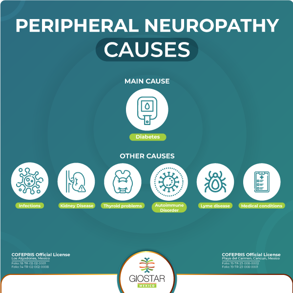 Causes of peripheral neuropathy infographic image