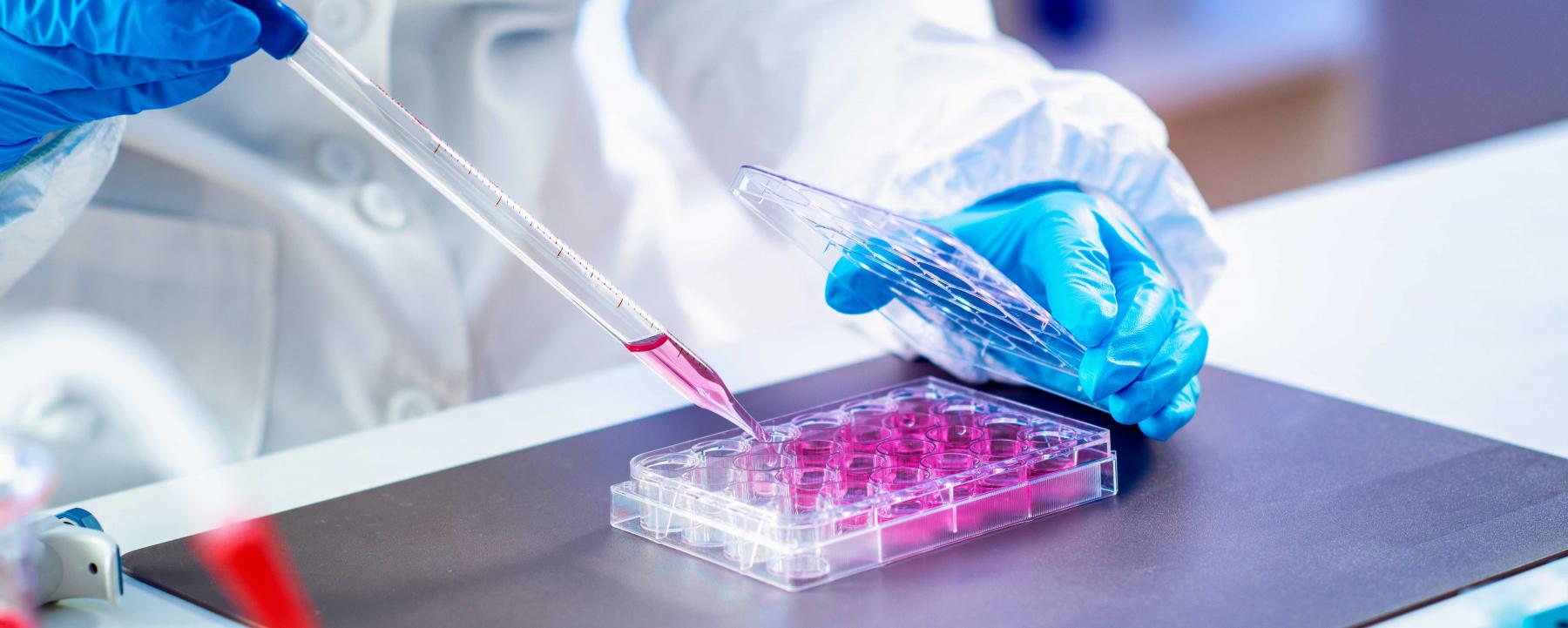 stem cells laboratory stem_cells_laboratory