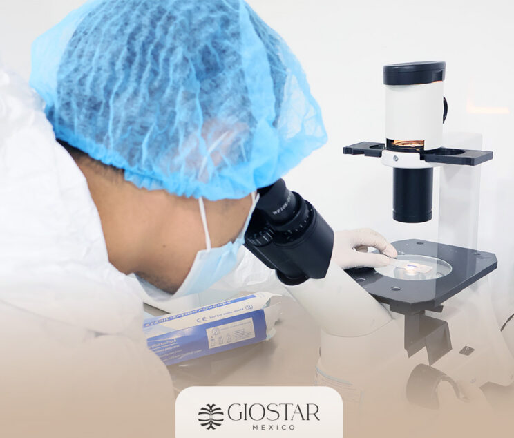 stem-cell-laboratory-processing-mexico (1)