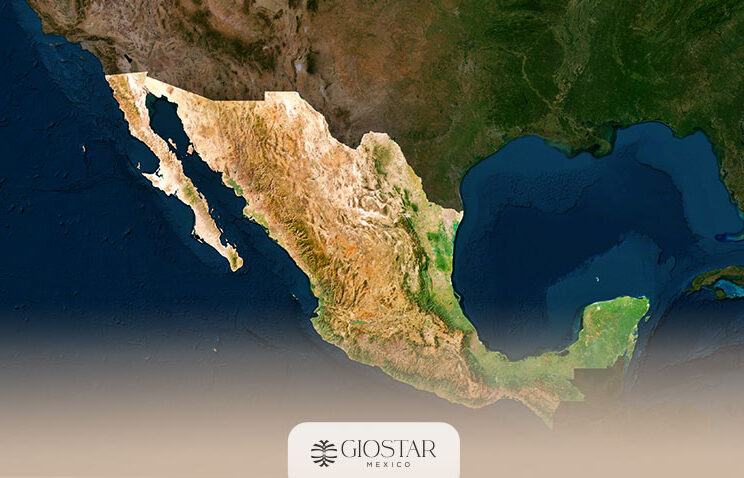 stem-cell-therapy-in-mexico-giostar (1)
